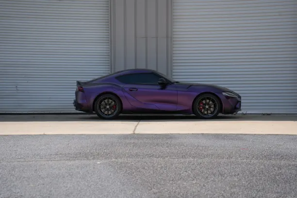 Casino Showreel Bingo Aip Android/iOS